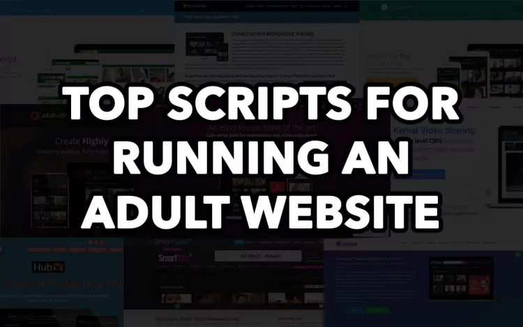Exploring the Top Software Solutions for Building Adult Websites